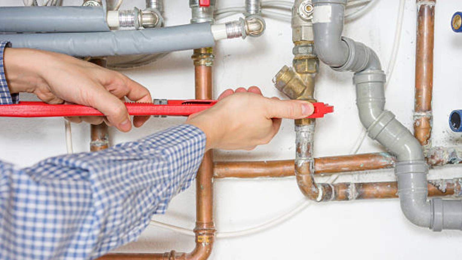 plumbers

